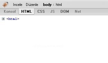 Firebug Eklentisi
