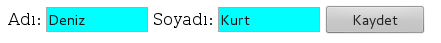 INPUT Tagı Nasıl Kullanılır?