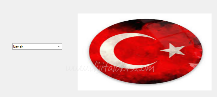 Combobox Kullanımı